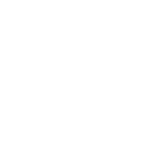 Lafeyette logo white